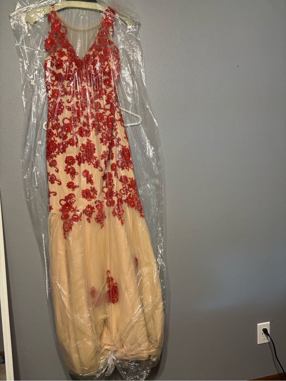 Cream Tulle Prom Gown with Red Floral Appliqué